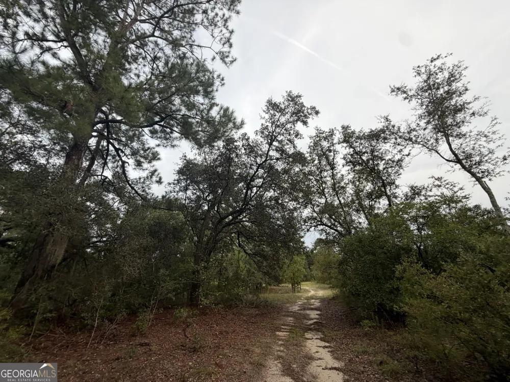 0 South River Road Waycross, GA 31503