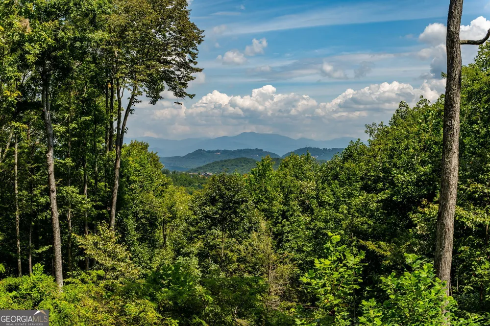 579 Overlook CIR Young Harris, GA 30582