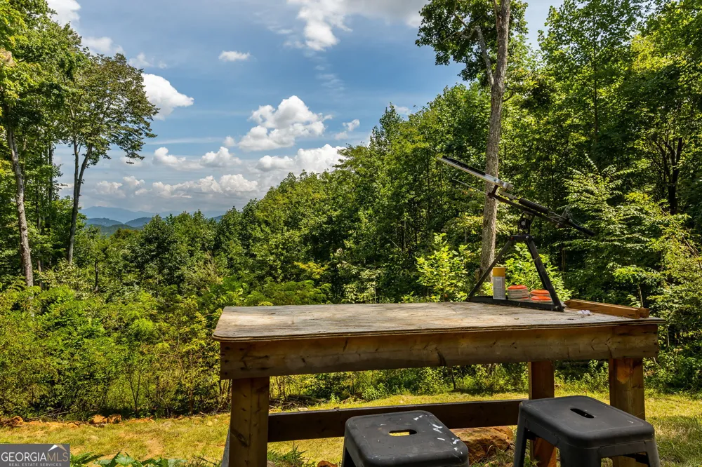 579 Overlook CIR Young Harris, GA 30582