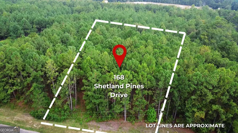 168 Shetland Pines DR Macon, GA 31216