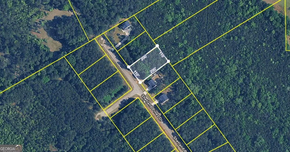 163 Shetland Pines DR Macon, GA 31216