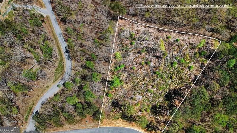 0 Twisted Oak RD Talking Rock, GA 30175