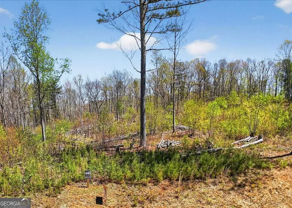 0 Twisted Oak RD Talking Rock, GA 30175