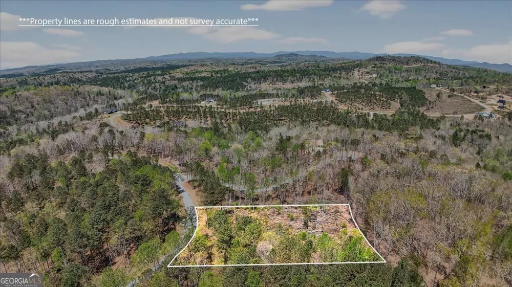 0 Twisted Oak RD Talking Rock, GA 30175