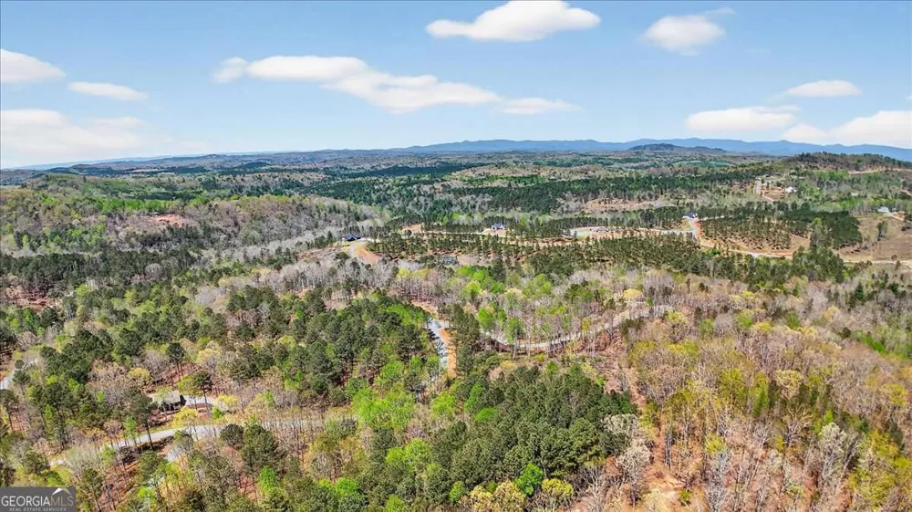 0 Twisted Oak RD Talking Rock, GA 30175