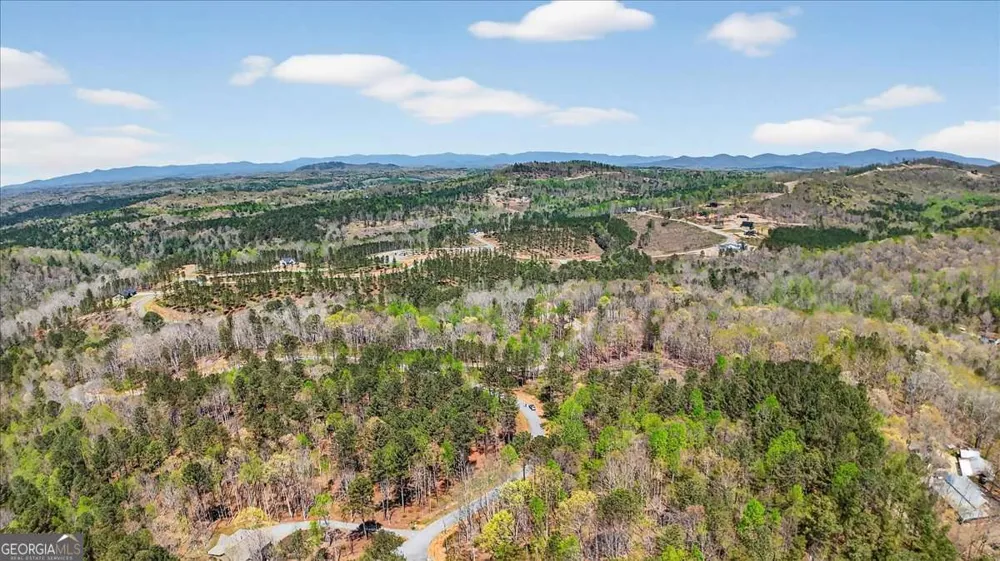 0 Twisted Oak RD Talking Rock, GA 30175