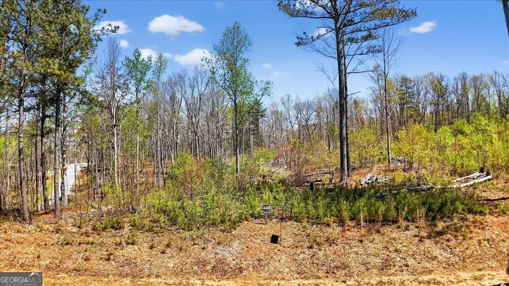 0 Twisted Oak RD Talking Rock, GA 30175
