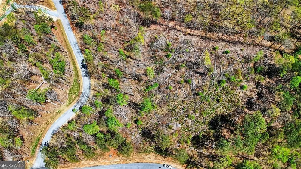 0 Twisted Oak RD Talking Rock, GA 30175
