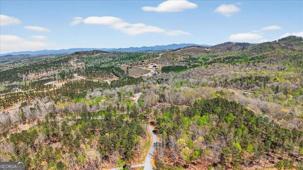 0 Twisted Oak RD Talking Rock, GA 30175