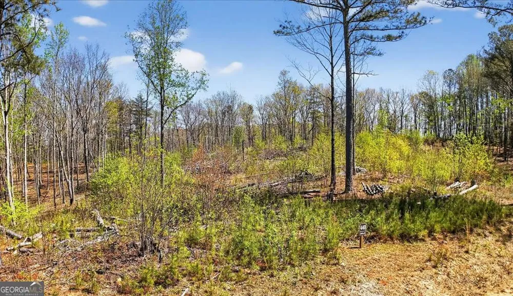 0 Twisted Oak RD Talking Rock, GA 30175
