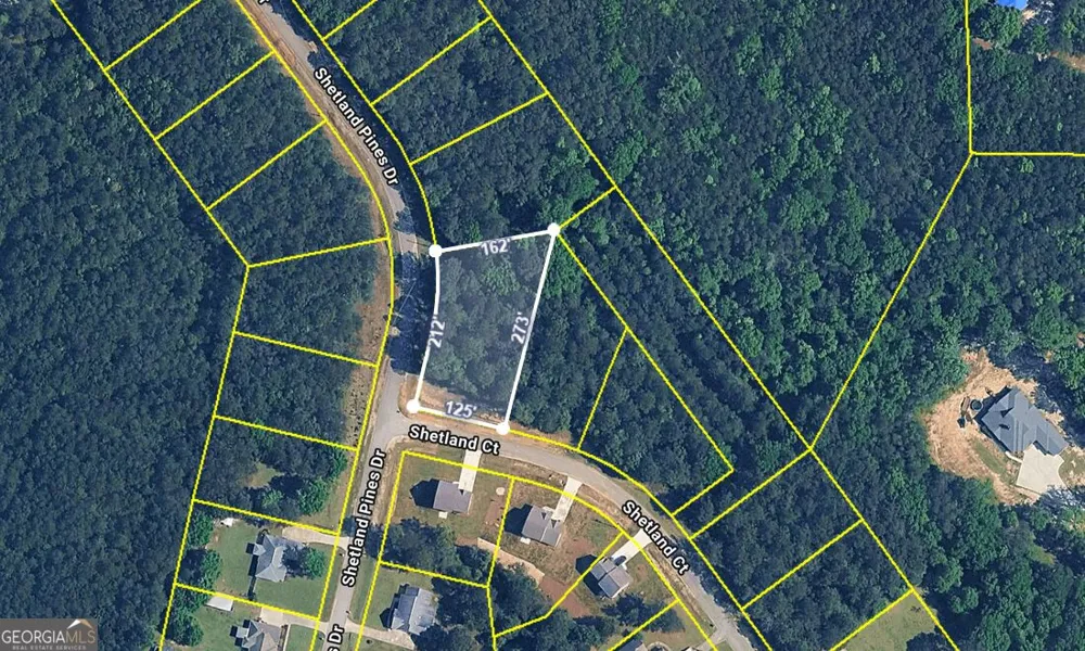 135 Shetland Pines DR Macon, GA 31216