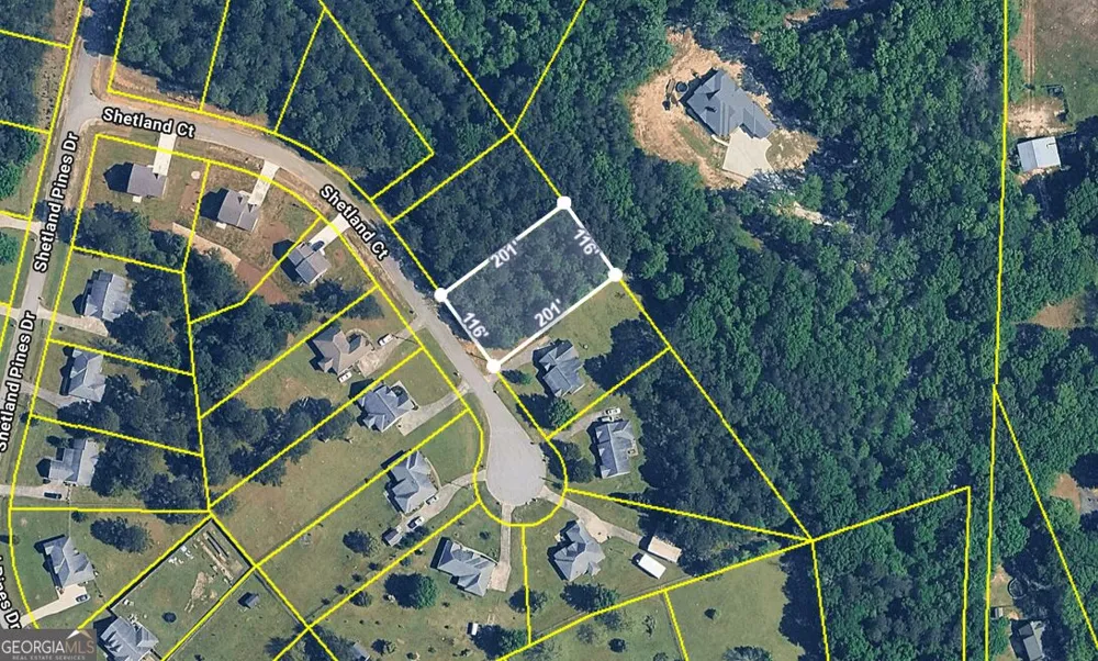 220 Shetland CT Macon, GA 31216