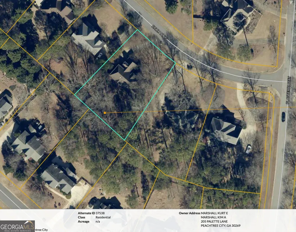 205 Palette LN Peachtree City, GA 30269
