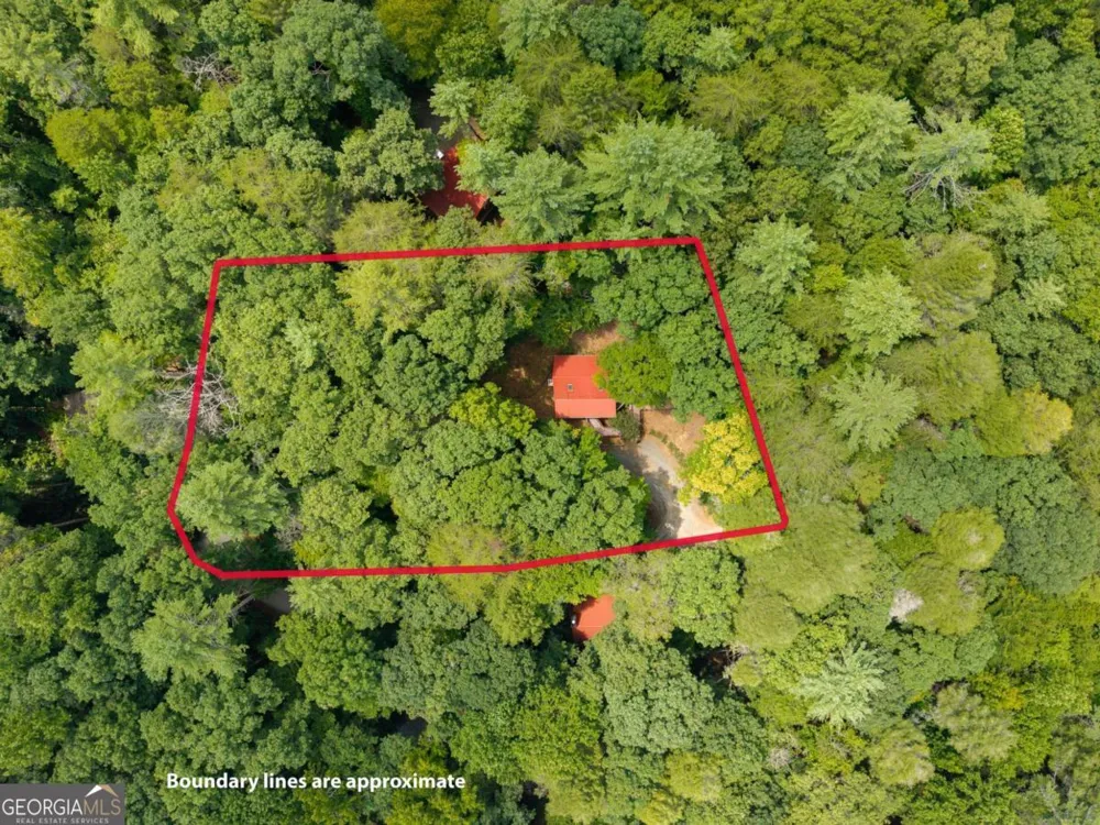 35 Finch LN Blue Ridge, GA 30513