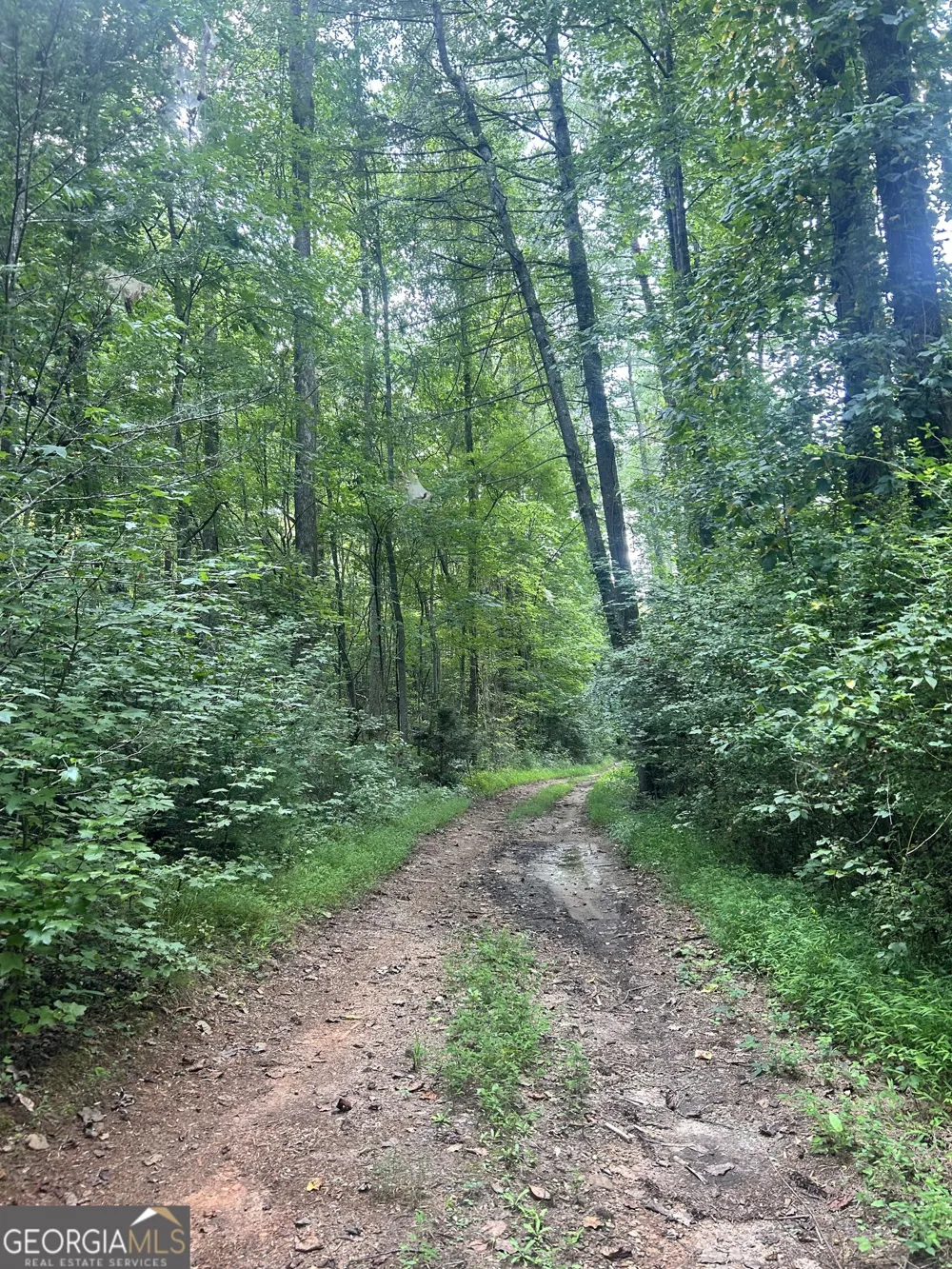 505 Hank Fry RD Clarkesville, GA 30523