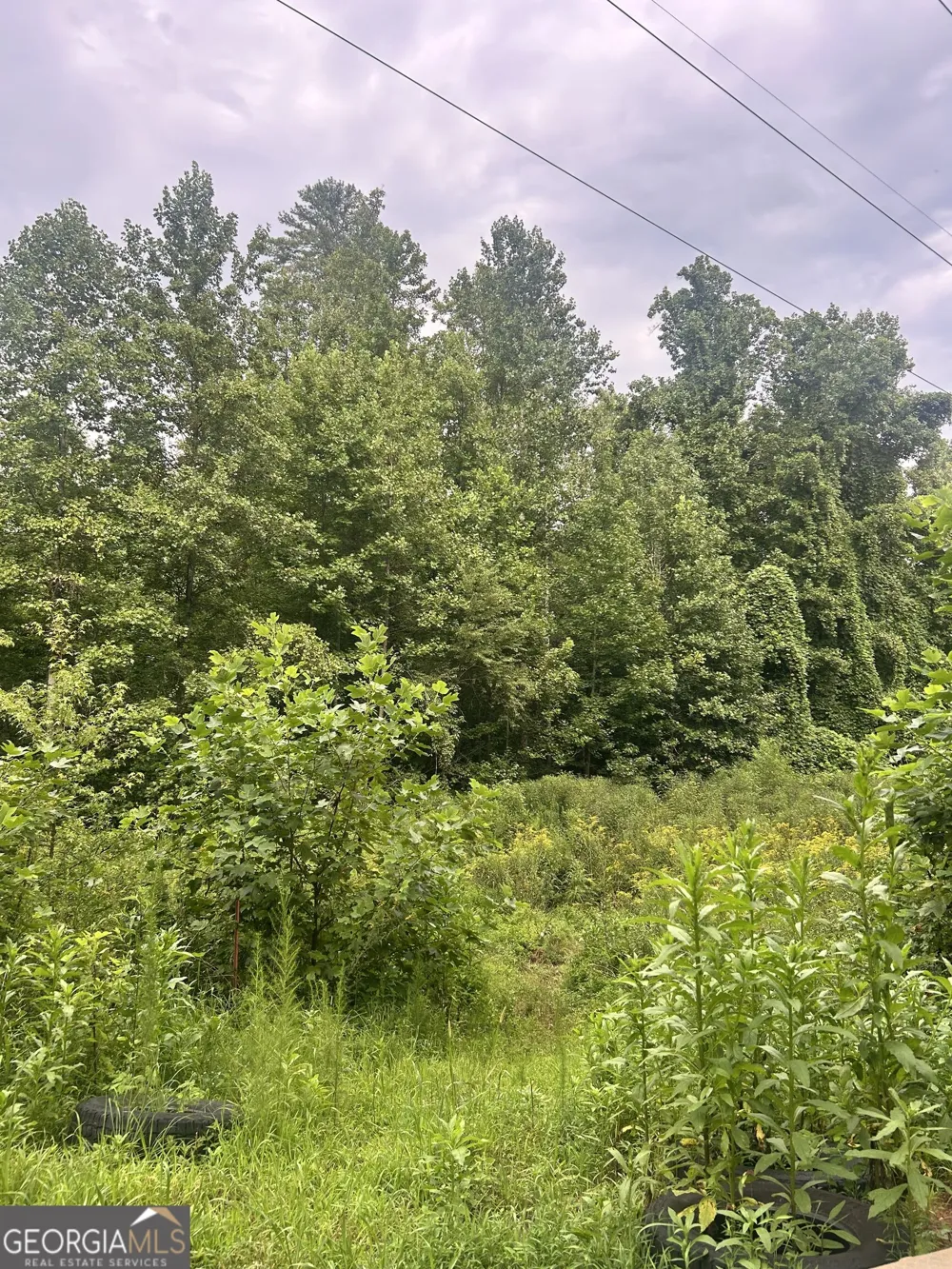 505 Hank Fry RD Clarkesville, GA 30523