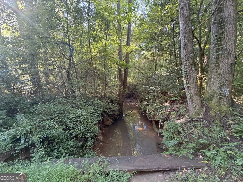 505 Hank Fry RD Clarkesville, GA 30523