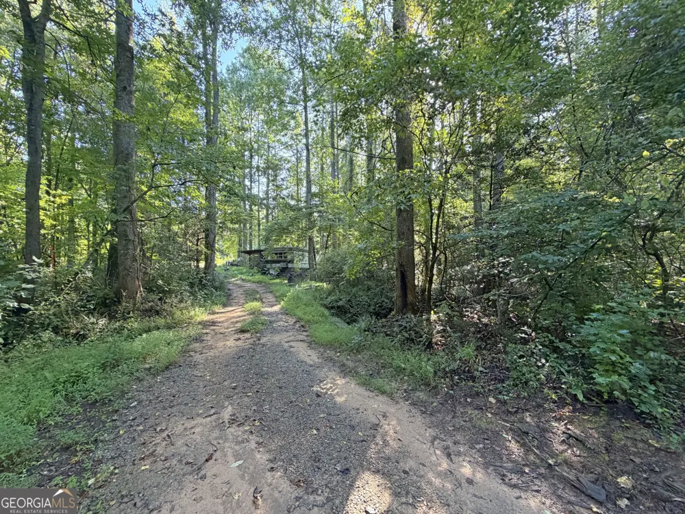 505 Hank Fry RD Clarkesville, GA 30523