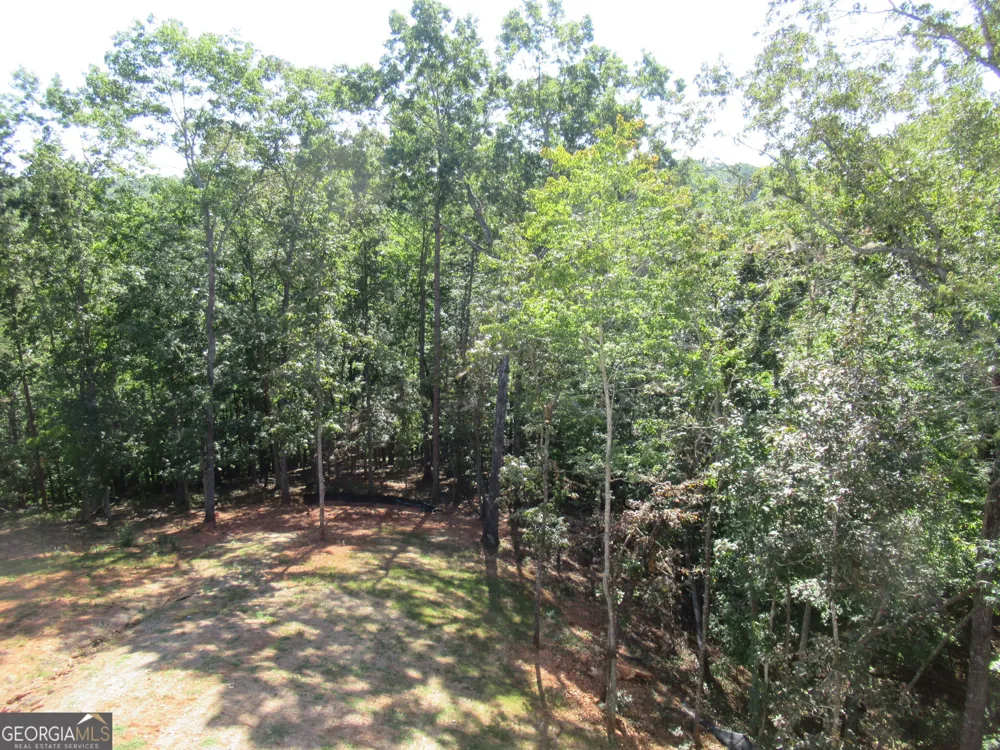 765 Old Kerns RD Dawsonville, GA 30534