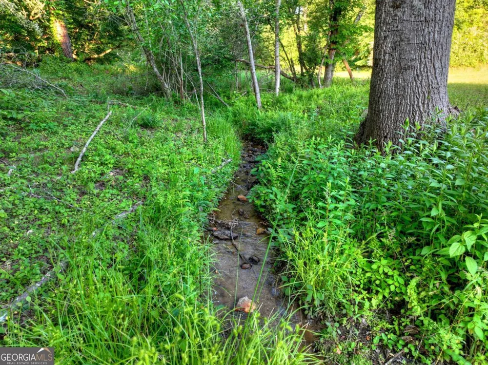 247 Craigtown RD Ellijay, GA 30540