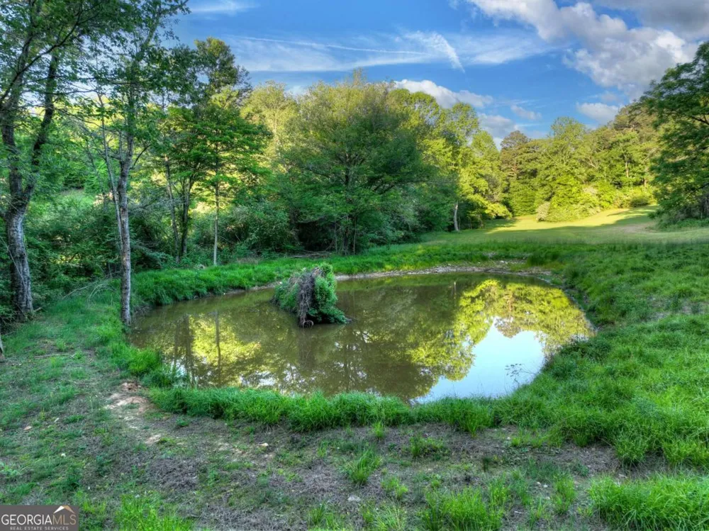 247 Craigtown RD Ellijay, GA 30540