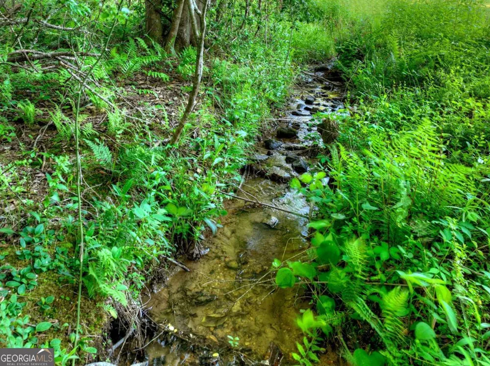 247 Craigtown RD Ellijay, GA 30540