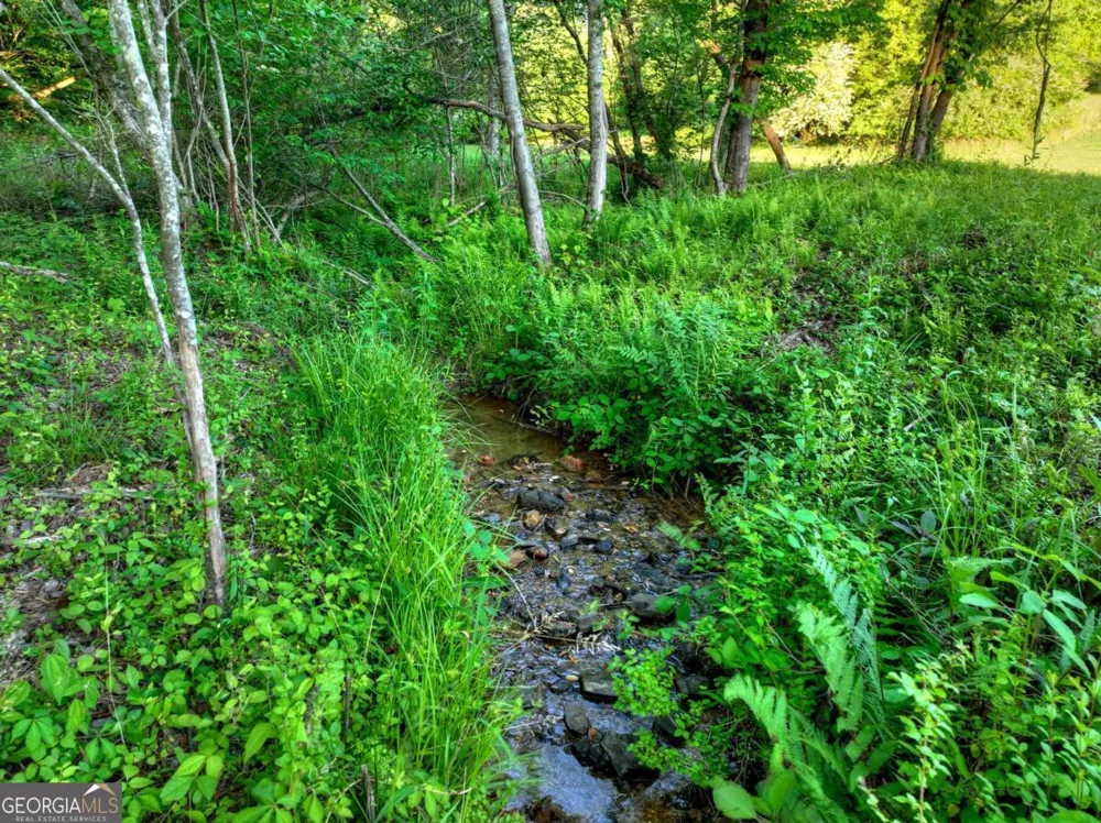 247 Craigtown RD Ellijay, GA 30540