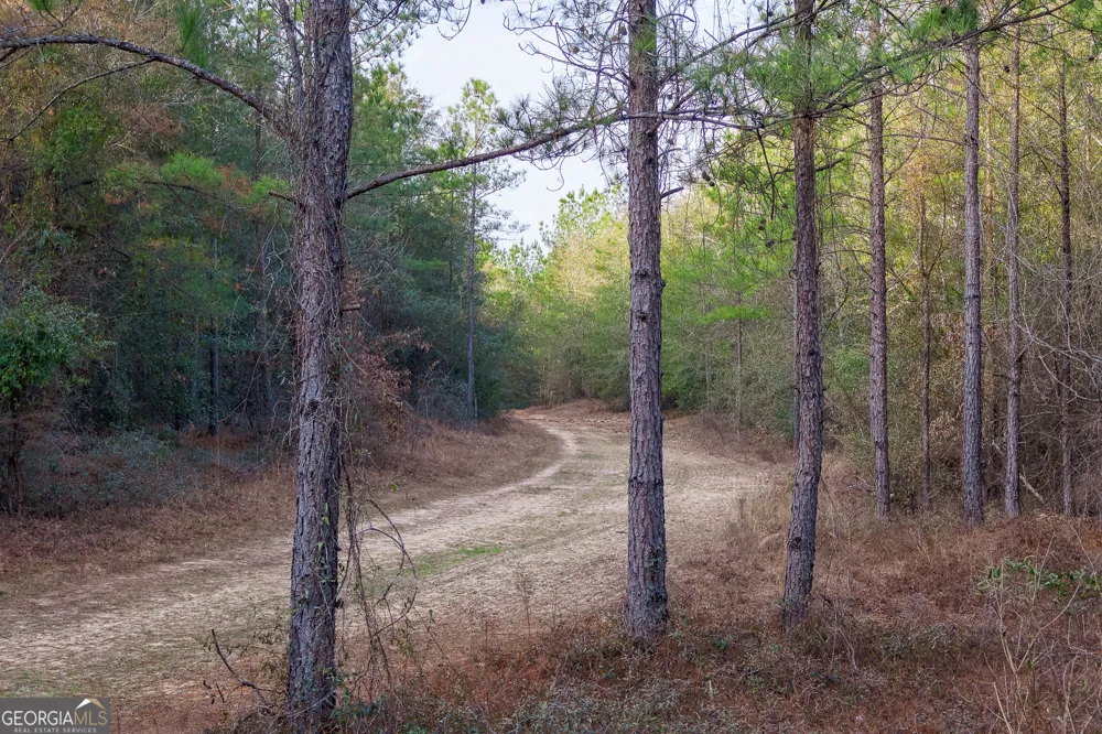 2729 Hadden Pond RD Avera, GA 30803