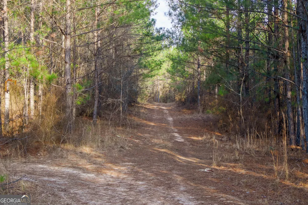 2729 Hadden Pond RD Avera, GA 30803