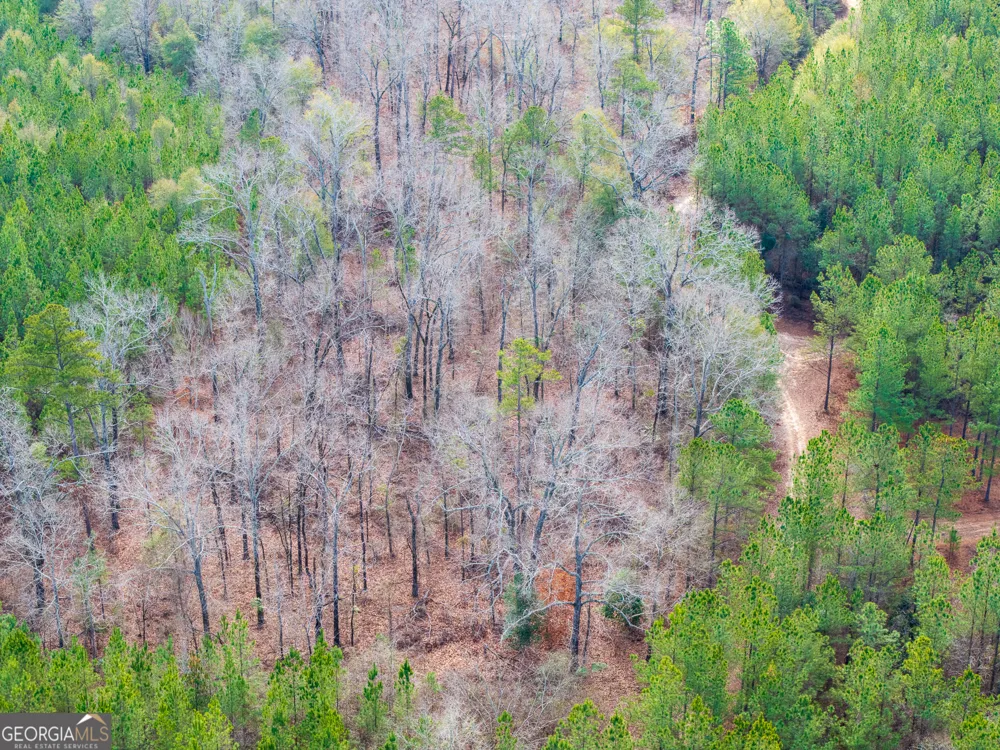 2729 Hadden Pond RD Avera, GA 30803