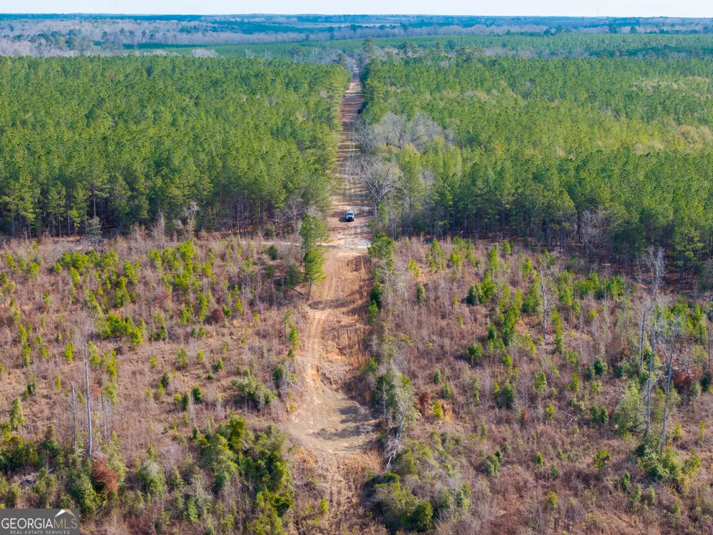 2729 Hadden Pond RD Avera, GA 30803