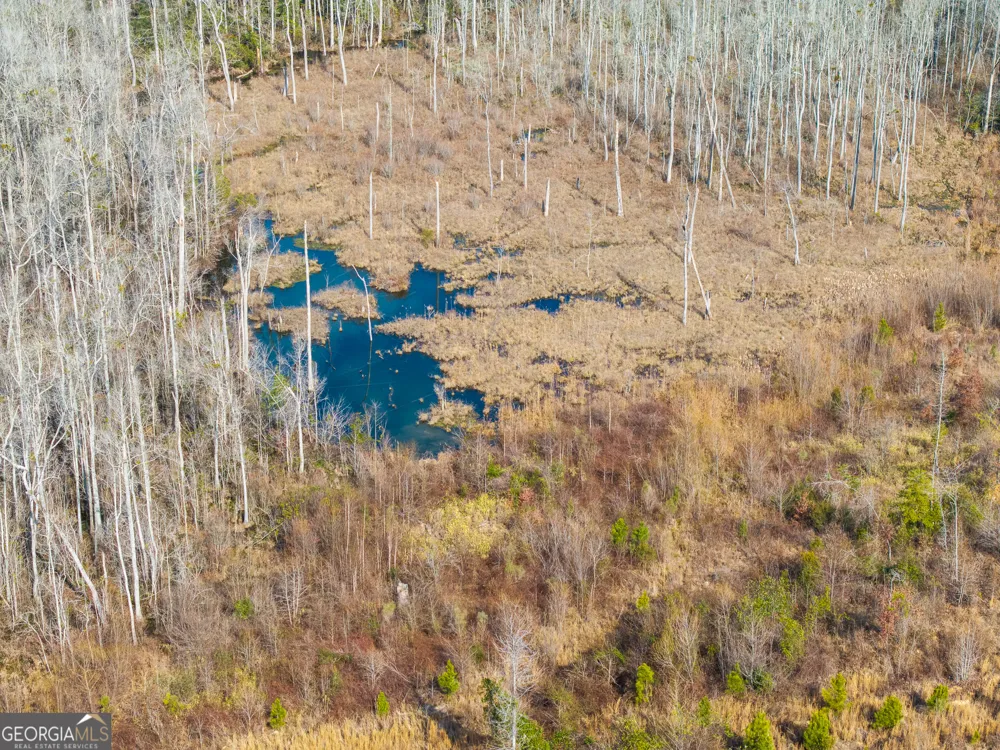 2729 Hadden Pond RD Avera, GA 30803