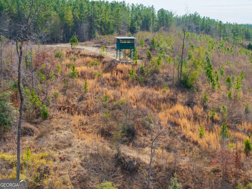 2729 Hadden Pond RD Avera, GA 30803