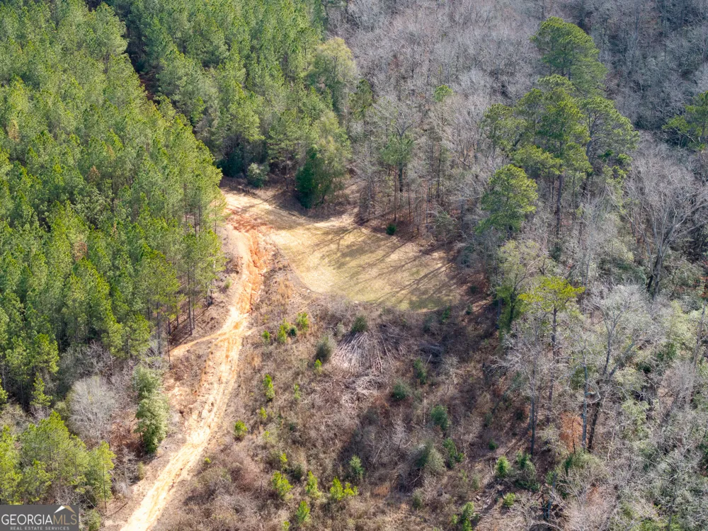 2729 Hadden Pond RD Avera, GA 30803