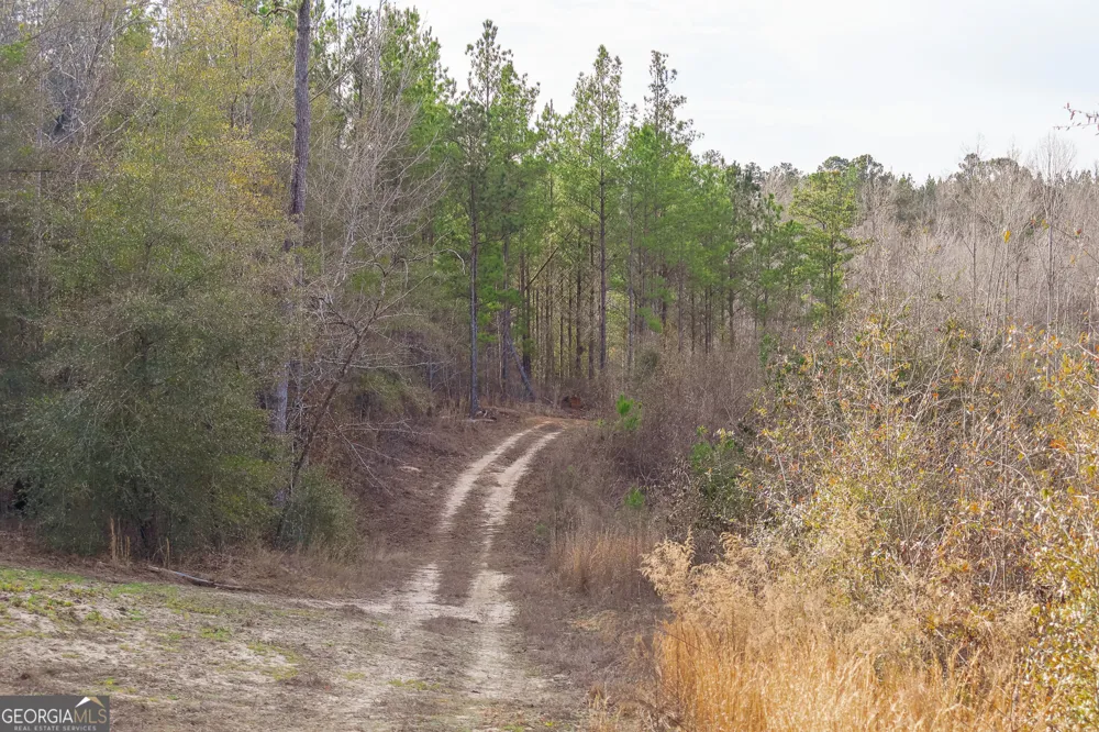 2729 Hadden Pond RD Avera, GA 30803