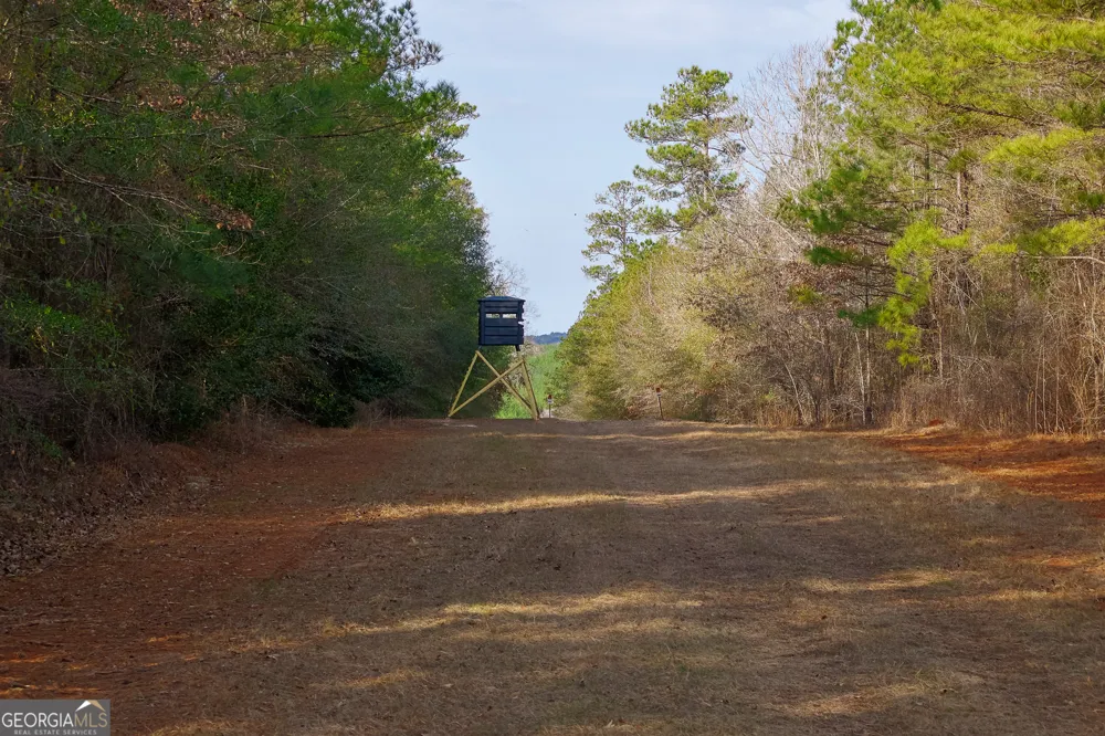2729 Hadden Pond RD Avera, GA 30803