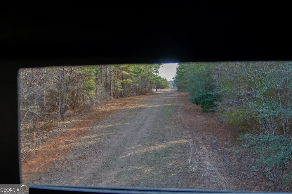 2729 Hadden Pond RD Avera, GA 30803