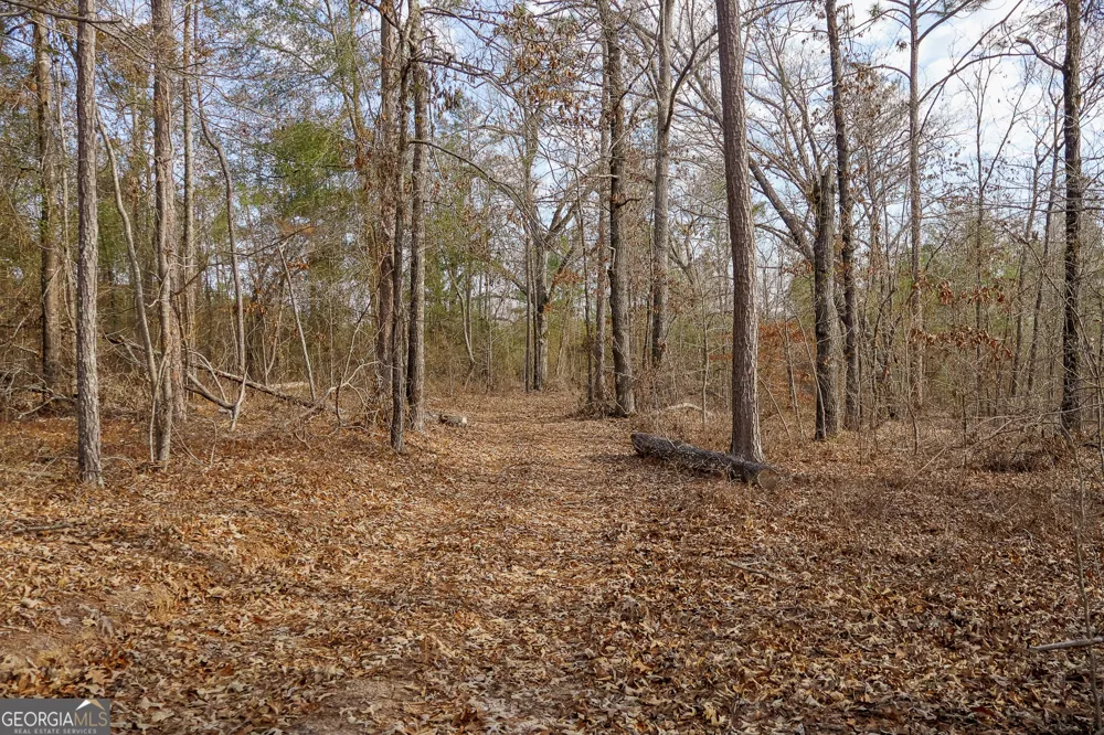 2729 Hadden Pond RD Avera, GA 30803