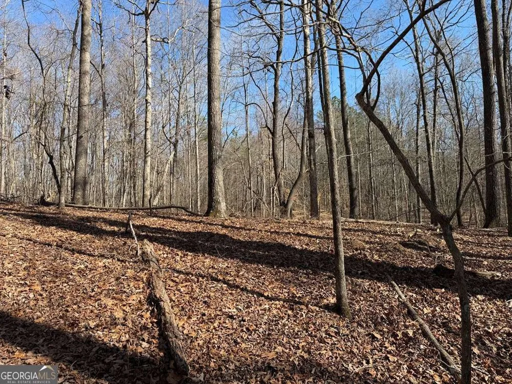 131 Nicholson LN Talking Rock, GA 30175