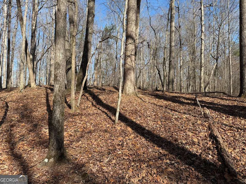 131 Nicholson LN Talking Rock, GA 30175