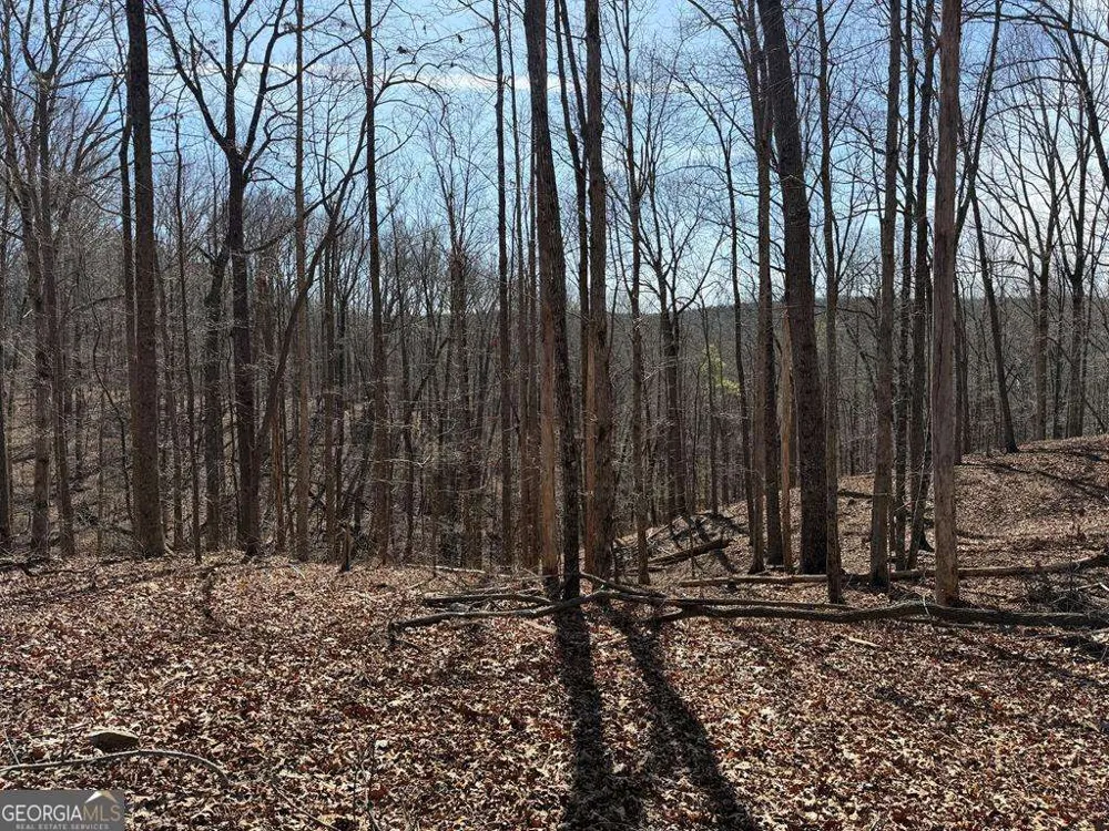 131 Nicholson LN Talking Rock, GA 30175