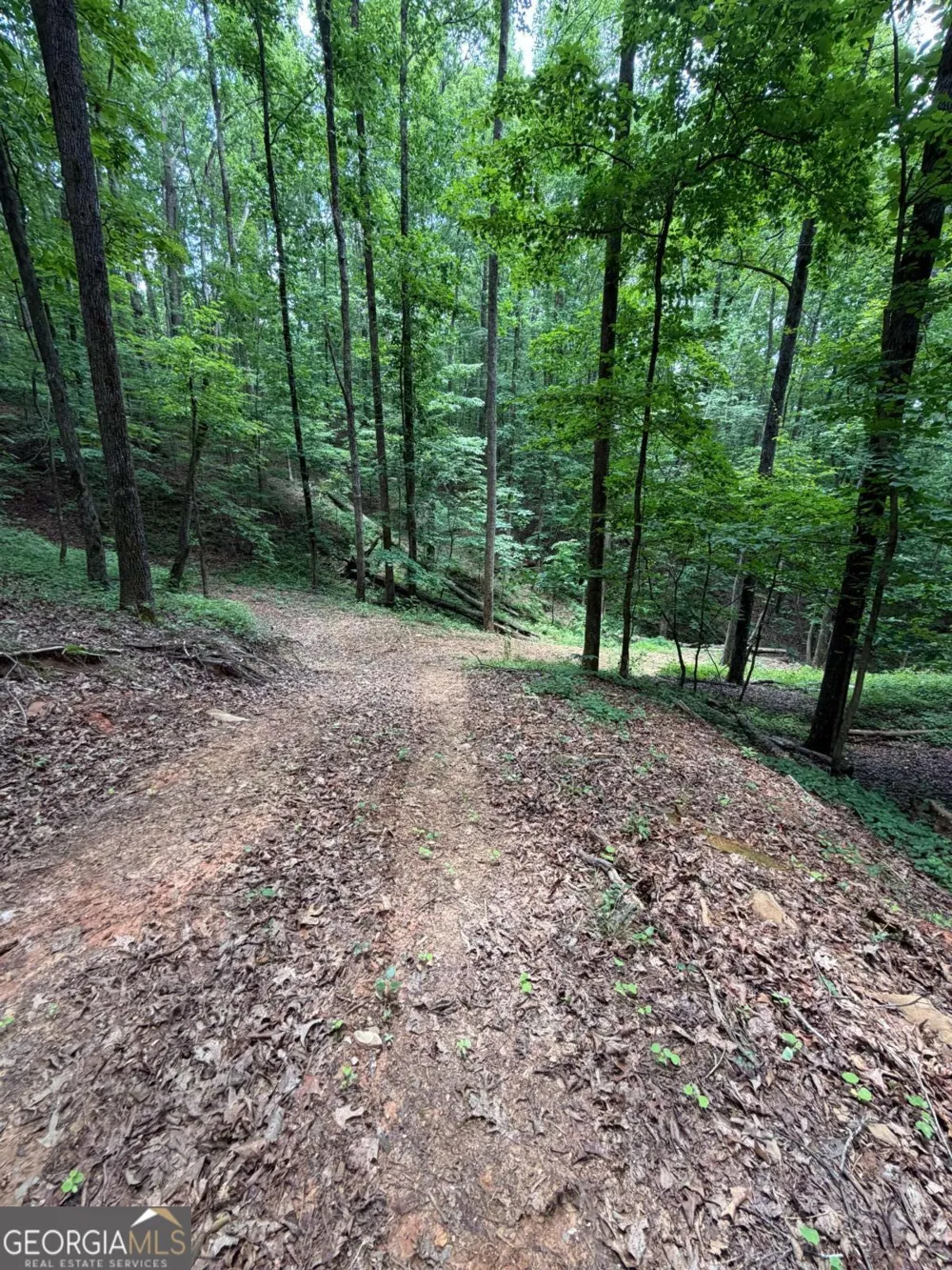 131 Nicholson LN Talking Rock, GA 30175