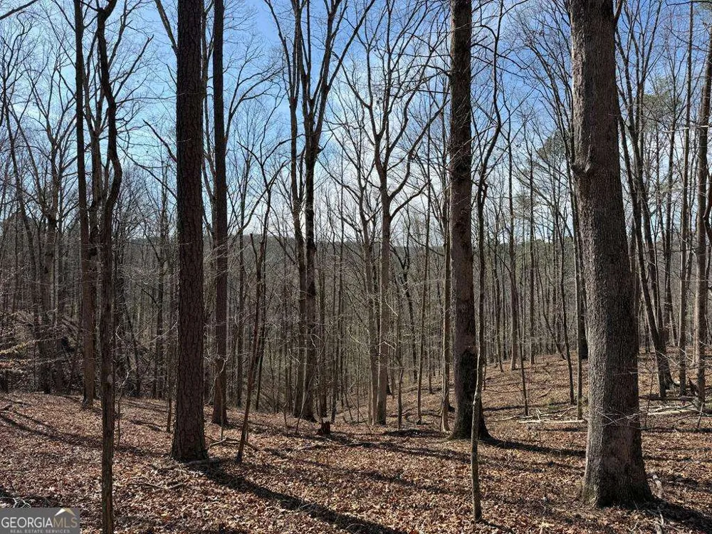 131 Nicholson LN Talking Rock, GA 30175