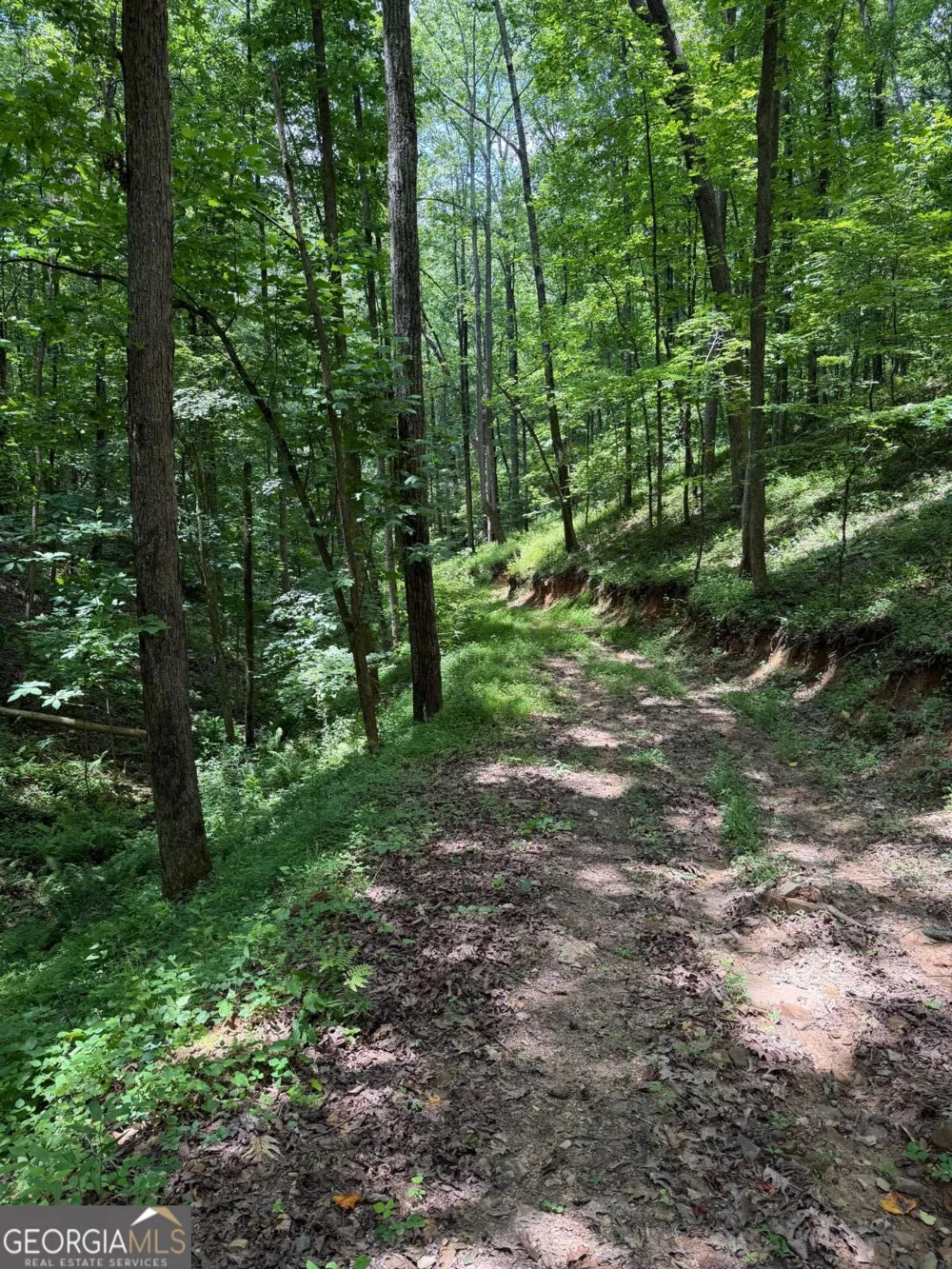 131 Nicholson LN Talking Rock, GA 30175