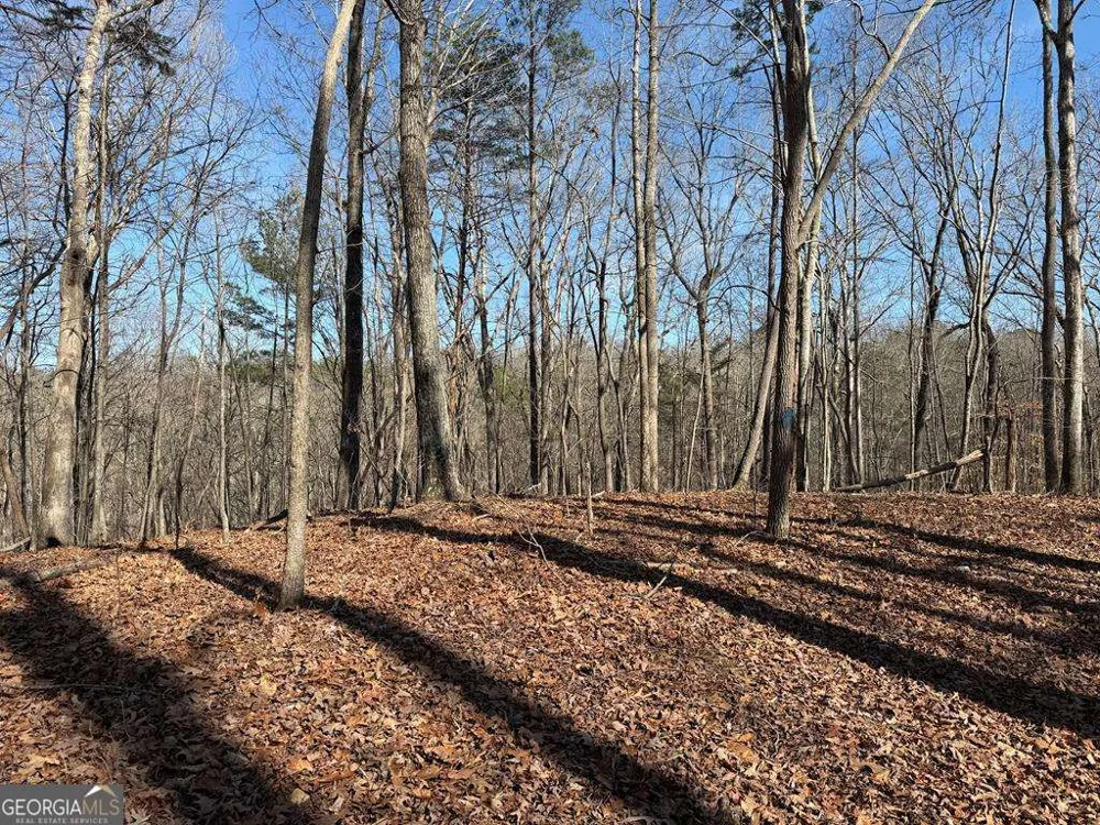 131 Nicholson LN Talking Rock, GA 30175