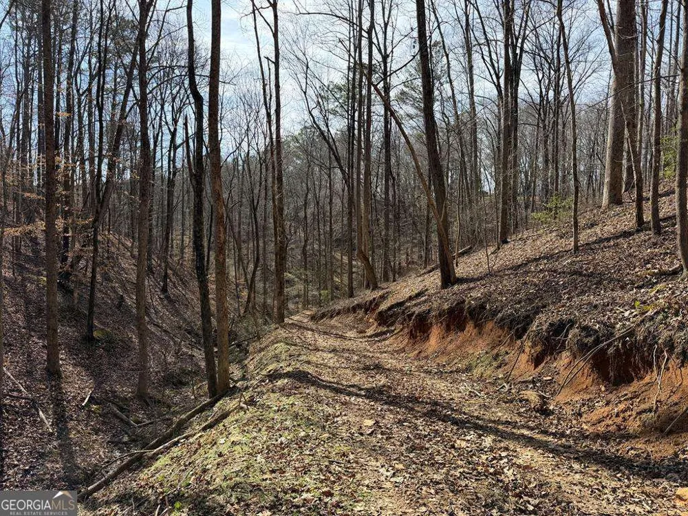 131 Nicholson LN Talking Rock, GA 30175
