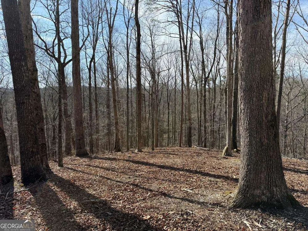 131 Nicholson LN Talking Rock, GA 30175