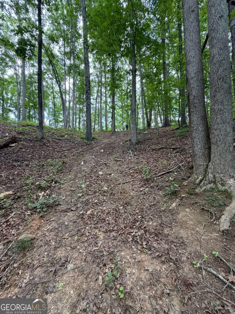 131 Nicholson LN Talking Rock, GA 30175