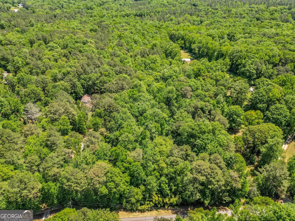 1136 Dolly Nixon RD Senoia, GA 30276