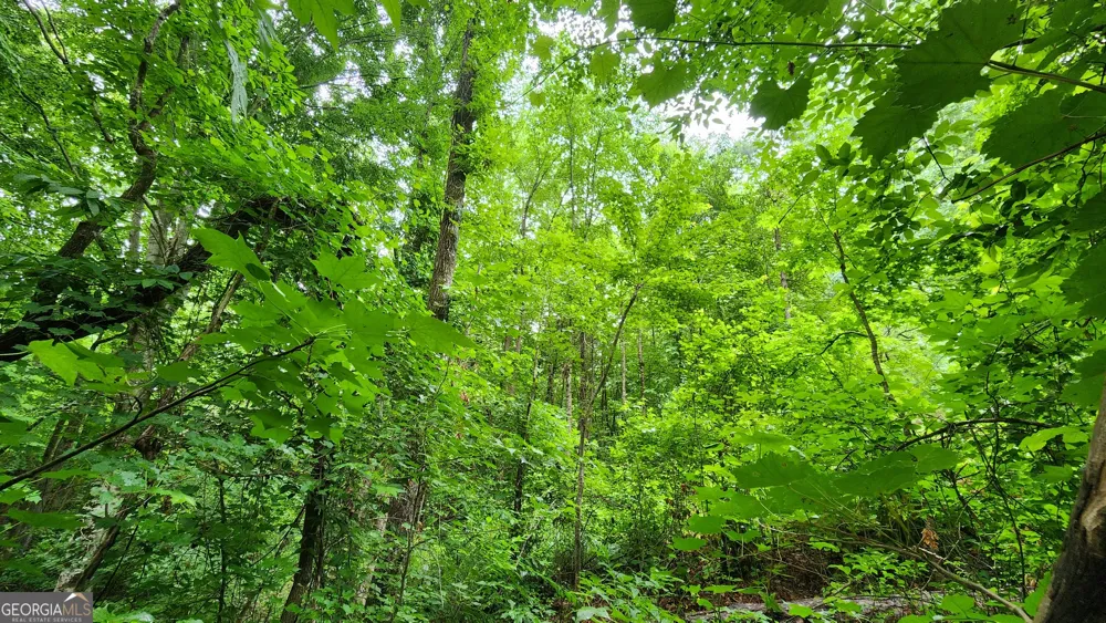 1136 Dolly Nixon RD Senoia, GA 30276